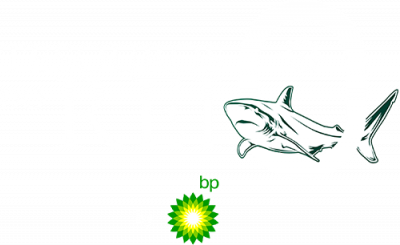 TESOUROS DO REI